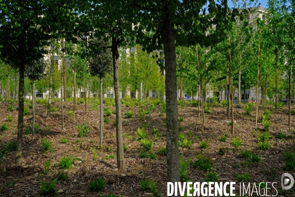 Paris : le pari de la nature