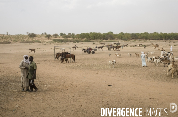 Ville d  adre, tchad.