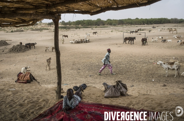 Ville d  adre, tchad.
