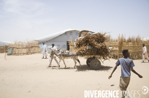 Refugies soudanais a adre, tchad.