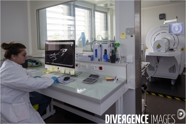 IBRAIN - Imagerie medicale preclinique du petit animal