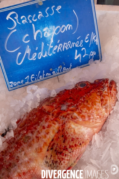 Nice, le renouveau culinaire