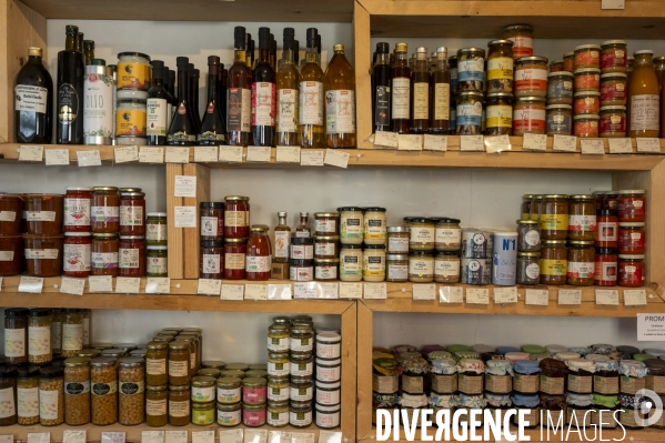 Nice, le renouveau culinaire