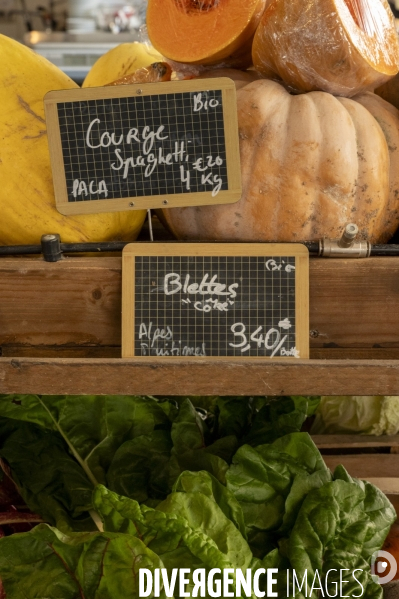 Nice, le renouveau culinaire