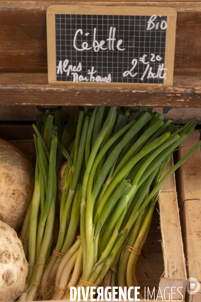 Nice, le renouveau culinaire