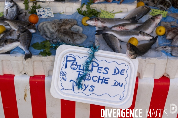 Nice, le renouveau culinaire