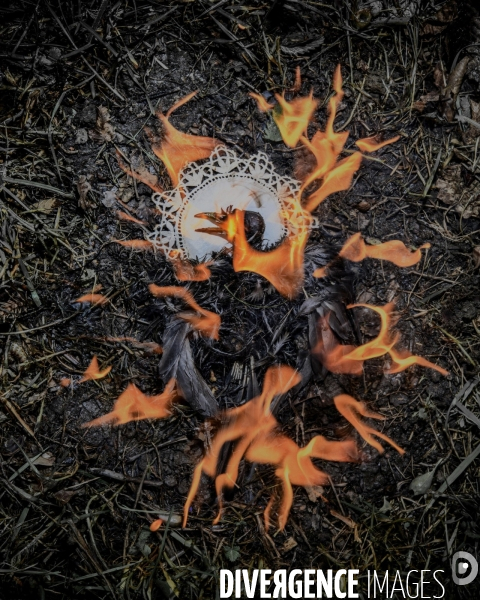 Piaf Story ( Fire walk with me)