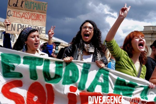 Mobilisation propalestinienne des étudiants