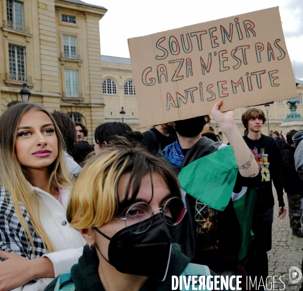 Mobilisation propalestinienne des étudiants