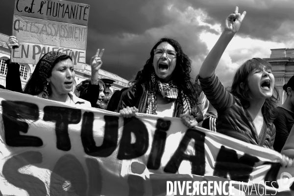Mobilisation propalestinienne des étudiants