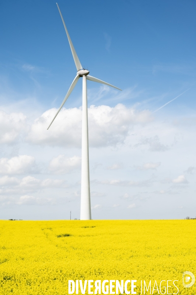 Eolienne dans la Somme