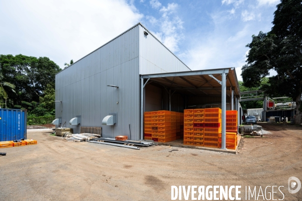 Btp architecture mayotte