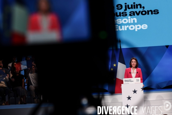 Valerie hayer - meeting de paris pour les europeennes 