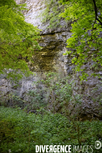 Bain de chlorophylle en foret de Saou