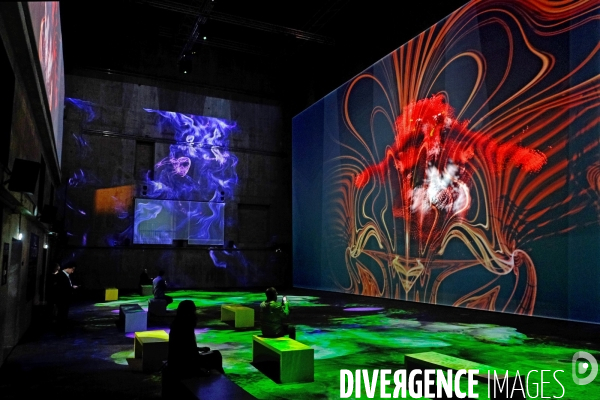 Avec   Artificial Dreams   l  IA s expose  au Grand Palais Immersif