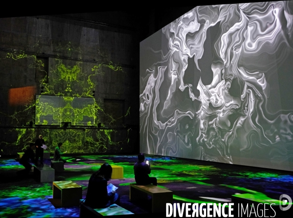 Avec   Artificial Dreams   l  IA s expose  au Grand Palais Immersif