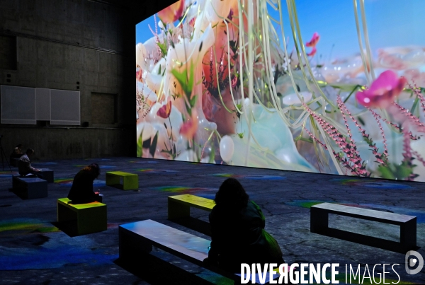 Avec   Artificial Dreams   l  IA s expose  au Grand Palais Immersif