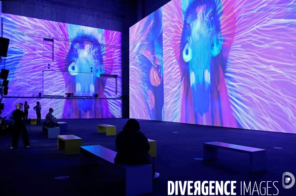 Avec   Artificial Dreams   l  IA s expose  au Grand Palais Immersif