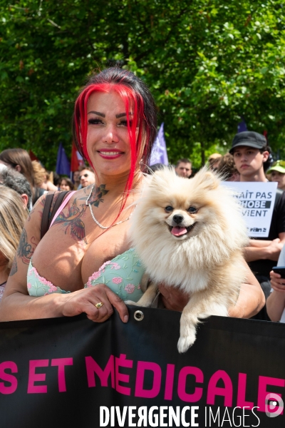Manifestation contre la transphobie et le projet de loi LR sur la transidentité des mineurs, le 27 mai à Paris.