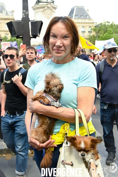 Manifestation contre la transphobie et le projet de loi LR sur la transidentité des mineurs, le 27 mai à Paris.