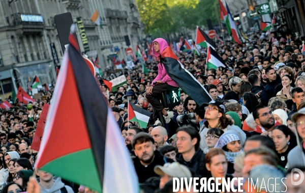 Manifestation de soutien à la Palestine
