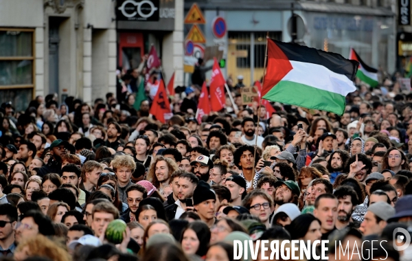 Manifestation de soutien à la Palestine