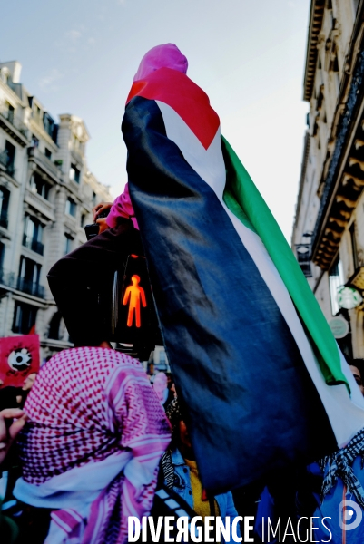 Manifestation de soutien à la Palestine