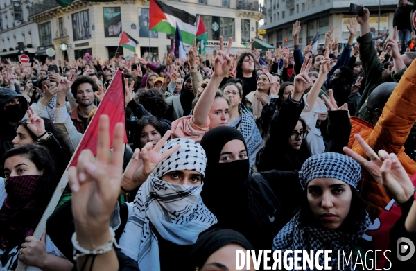 Manifestation de soutien à la Palestine