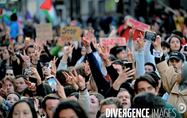 Manifestation de soutien à la Palestine