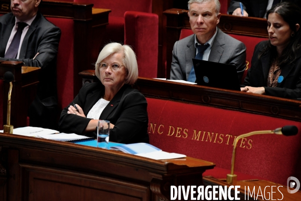 Assemblee Nationale / Debat sur le  Projet de loi sur la fin de vie