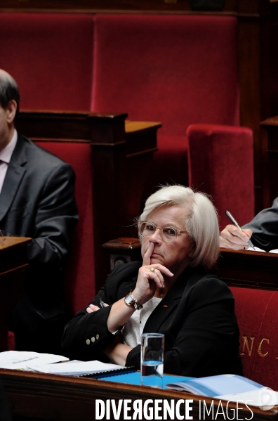 Assemblee Nationale / Debat sur le  Projet de loi sur la fin de vie