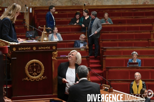 Assemblee Nationale / Debat sur le  Projet de loi sur la fin de vie