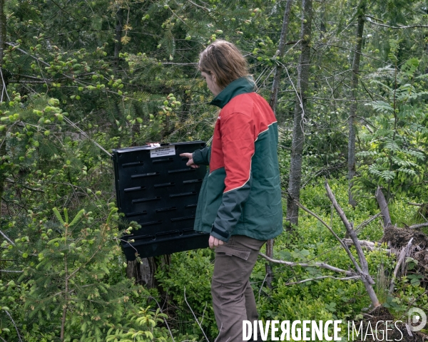 Sante des forets et rechauffement climatique