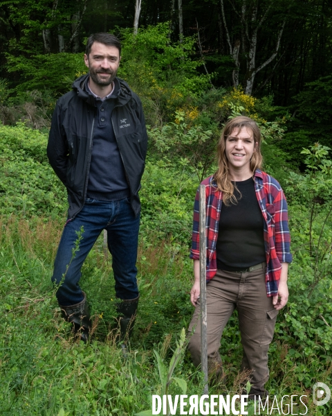 Sante des forets et rechauffement climatique