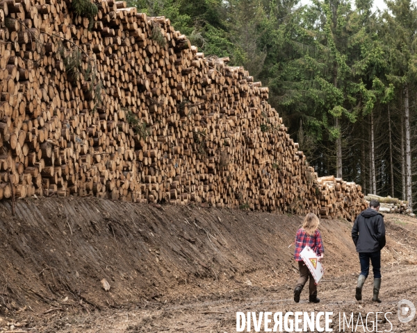 Sante des forets et rechauffement climatique