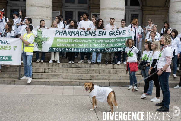 Manifestation pharmaciens Dijon