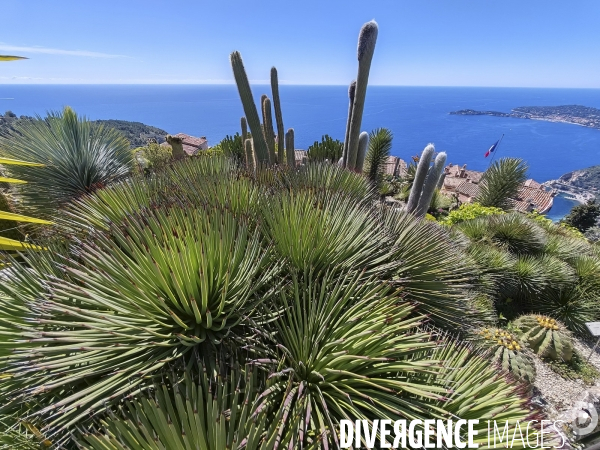 JARDIN EXOTIQUE de EZE - Illustrations 2024