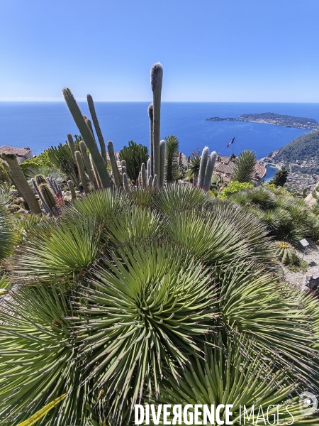 JARDIN EXOTIQUE de EZE - Illustrations 2024