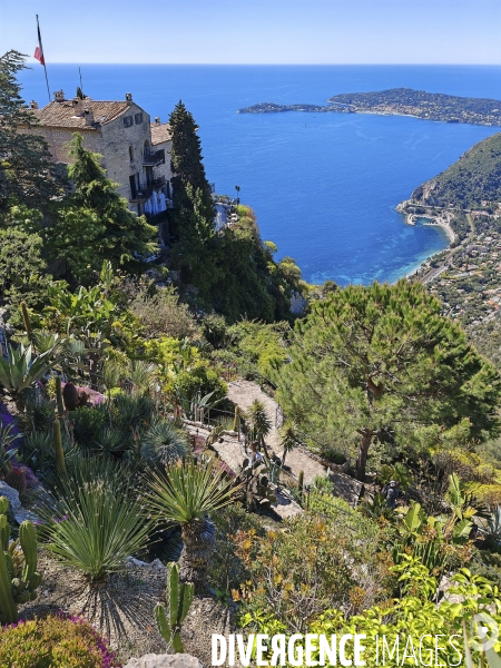 JARDIN EXOTIQUE de EZE - Illustrations 2024