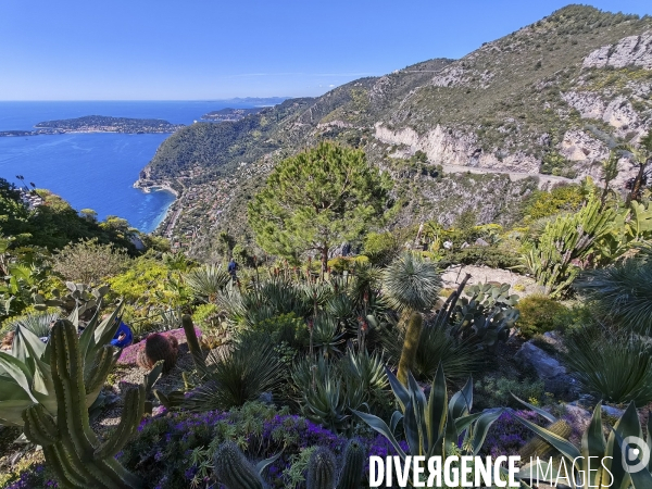 JARDIN EXOTIQUE de EZE - Illustrations 2024