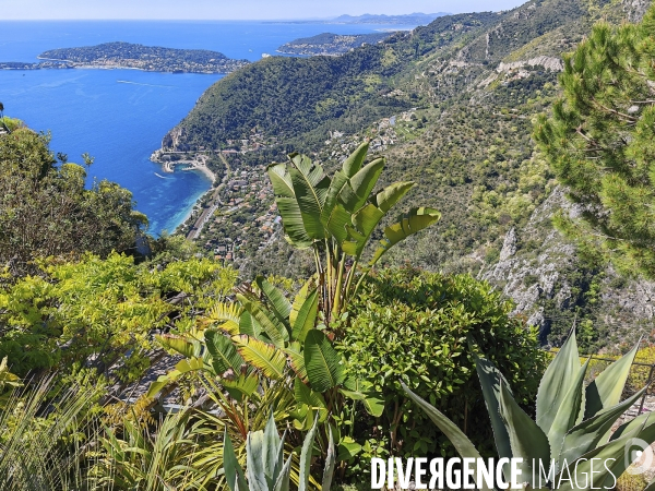 JARDIN EXOTIQUE de EZE - Illustrations 2024