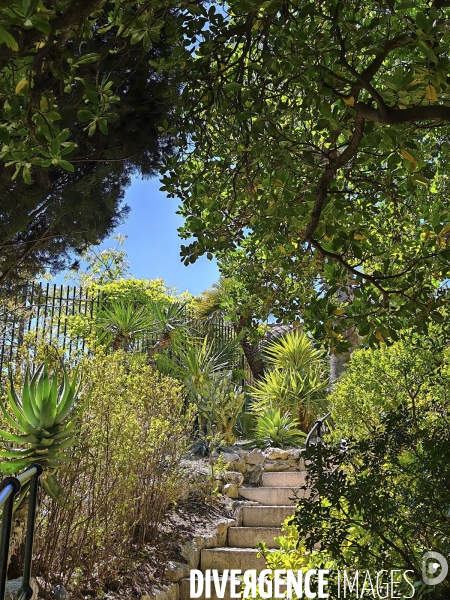 JARDIN EXOTIQUE de EZE - Illustrations 2024