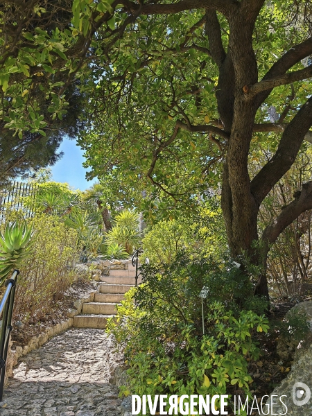 JARDIN EXOTIQUE de EZE - Illustrations 2024
