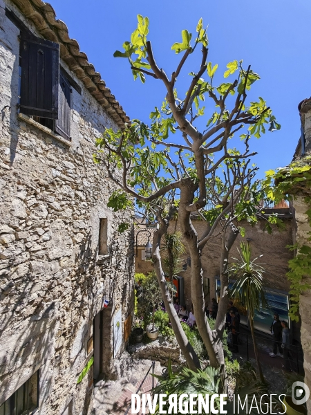Village de EZE - Illustrations 2024