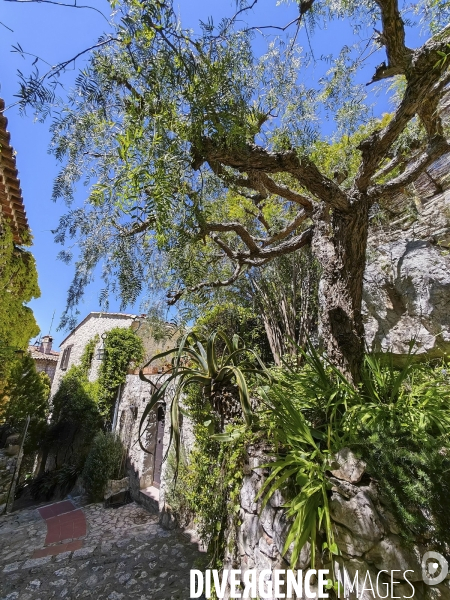 Village de EZE - Illustrations 2024