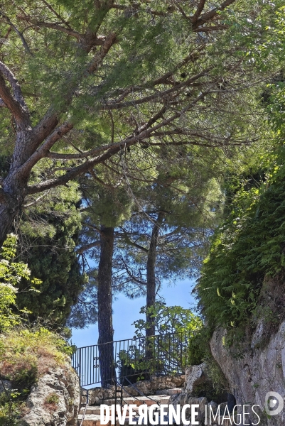 Village de EZE - Illustrations 2024