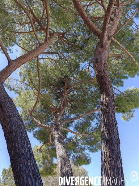 Village de EZE - Illustrations 2024