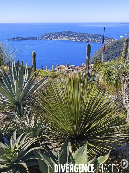JARDIN EXOTIQUE de EZE - Illustrations 2024
