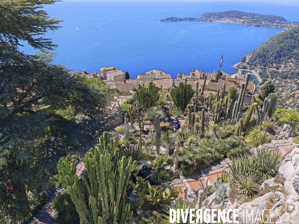 JARDIN EXOTIQUE de EZE - Illustrations 2024