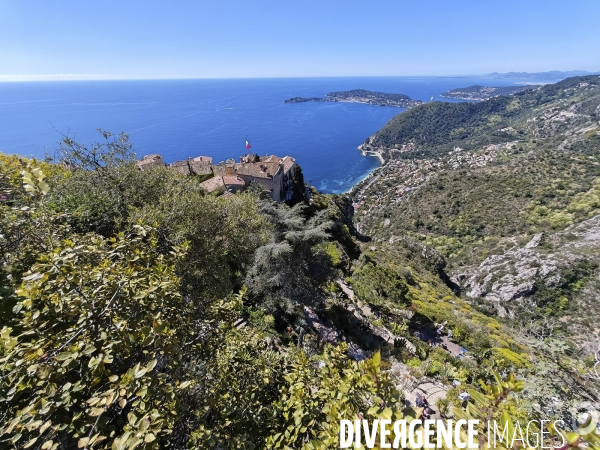 JARDIN EXOTIQUE de EZE - Illustrations 2024